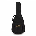 Martin Dreadnought Jr Electro Acoustic