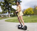 Ninebot Segway S Max