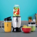 NutriBullet Magic Bullet MBR10