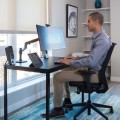 Ergotron LX Desk Monitor Arm