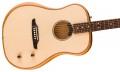 Fender Highway Series Dreadnought