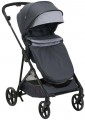 Chicco Seety 2 in 1