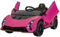 Pilot Lamborghini Invencible