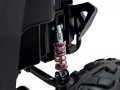 Ramiz Buggy UTV-MX 2000N