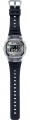 Casio G-Shock DW-5600SKC-1