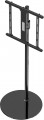 Gembird TVS-65S-02