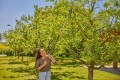 GARDENA StarCut Pro S 12080-20