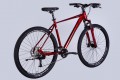 Formula Zephyr 2.0 DD CS 29 2025 frame 19