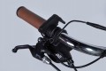 Dorozhnik eRetro Vbr FR 500W 2025