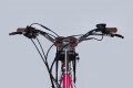 Dorozhnik eRetro Vbr FR 500W 2025
