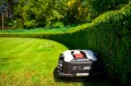 Cedrus C-MOW-M6+