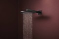 Hansgrohe Raindance Alive S 300 EcoSmart 24541000