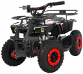 Profi HB-ATV 1000AS