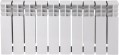 Thermo Alliance Bi-Ferrum 300/100