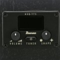 Ibanez AEG621