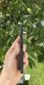 Sony Xperia 10 VI 128 ГБ