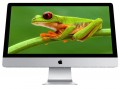фронтальный вид Apple iMac 21.5" 2015