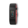 Garmin Vívosport