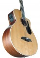 Alvarez AB60CE
