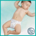 Pampers Harmonie 3