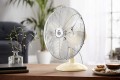 SWAN Retro 12 Inch Desk Fan