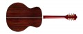 Guild F-55E