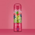 NutriBullet Portable NBP003