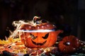 Staub 40511-555