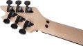 EVH Wolfgang Special Ebony Fingerboard