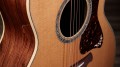 Taylor Gold Label 814e