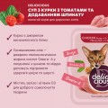 Delickcious Soup Chicken/Tomatoes/Spinach 80 g