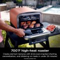 Ninja Woodfire OO101