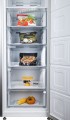 Beko B3RFNE 313 S