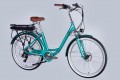 Dorozhnik eRUBY DD FR 500W 2025