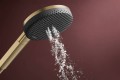 Hansgrohe Raindance Alive Select S 125 24500000