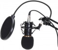 Zeepin BM-800