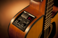 Takamine GD10CE