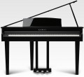 Kawai DG30