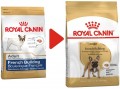 Royal Canin French Bulldog Adult 1.5 kg