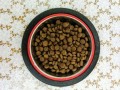 1st Choice Healthy Skin and Coat Salmon 0.9 kg