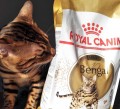 Royal Canin Adult Bengal 10 kg