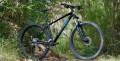 Marin Bobcat Trail 3 29 2022