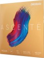 DAddario Ascente Violin String Set 1/2 Size Medium