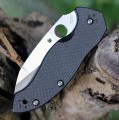 Spyderco Canis C248CFP