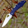 Spyderco Byrd Cara Cara 2 FRN