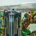 Oase BioPlus 50