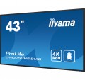 Iiyama ProLite LH4375UHS-B1AG
