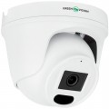 GreenVision GV-IP-K-W96/4