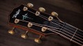 Taylor Builder's Edition 914ce WHB