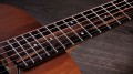 Taylor Baby Taylor (BT-Koa)
